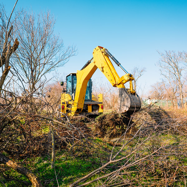 Land Clearing & Grubbing Services In Washington DC & Gaithersburg MD